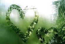 早起的好处与方法